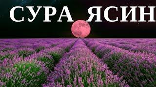 Ясин сүресі/Сура Ясин/Yasin/Қазақша,Криллица,Арабша/Таңертең және Кешке тыңдаңыз/Құранның жүрегі