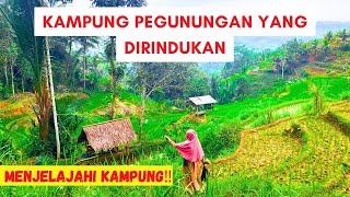 EXPLORING THE RICE FIELDS IN THE MOUNTAINS OF WEST JAVA ‼️ The Sunda Mountain Village Atmosphere