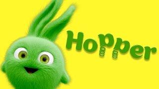 Cartoon | Sunny Bunnies - Meet the Bunnies - Hopper!  Videos For Kids Videos For Kids