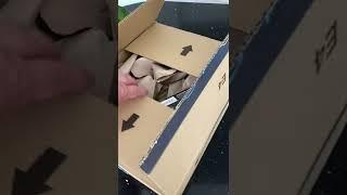 Amazon packaging overload