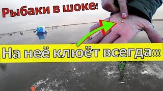 НА НЕЁ КЛЮЁТ ВСЕГДА! Золотая мормышка для рыбалки. Мормышка на окуня.