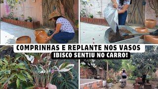 COMPRINHAS DO FIM DE SEMANA| FIZ REPLANTES NOS VASOS DE BARRO| ibisco sentiu o transporte