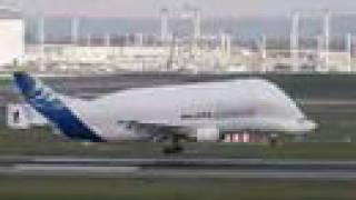 Airbus A300-600ST Beluga landing in Toulouse