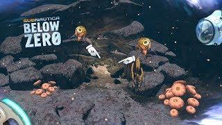 Yellow Trivalve Egg Location!  Subnautica: Below Zero