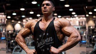 Alan Walker 'Mashup' Bodybuilding Motivation