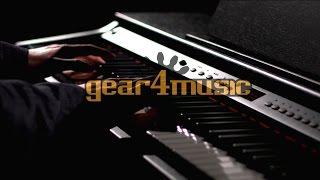 DP-6 Digital Piano by Gear4music (Performance)