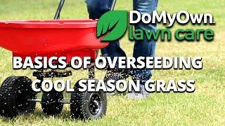 Overseeding Basics: How to Revive Your Cool-Season Lawn | DoMyOwn.com