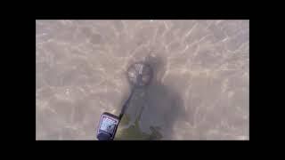 Nokta  Makro Legend Saltwater Beach Metal Detecting