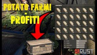 Potato Farm In Rust - Rust