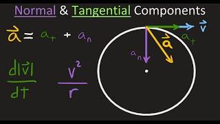 Dynamics: Normal and Tangential Components