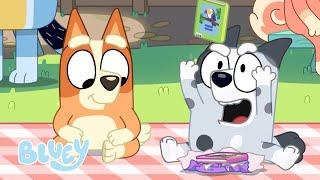 Pass The Parcel | Full Episode - Series 3 | Bluey