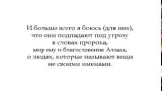 Аль-Альбани: кто говорит "вы мурджииты с правителями"