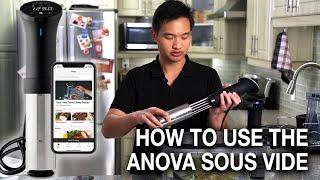 How to Use the Anova Sous Vide Precision Cooker