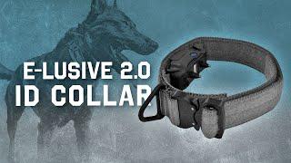 E-Lusive 2.0™ ID Collar | Discrete All-in-One Training Collar