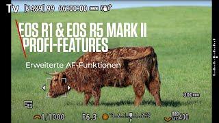 EOS R1 & EOS R5 Mark II Profi-Features: Erweiterte Autofokus-Funktionen