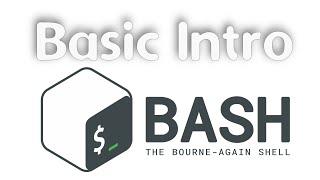 Bash: The Basics (and Why You Should Care)