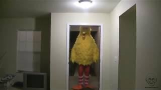 Big Bird Kicks Down Door