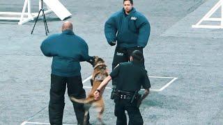 Police Dog funny moments