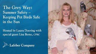 The Grey Way 11: Summer Safety – Keeping Pet Birds Safe in the Sun