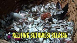 [FULL] KELILING SULAWESI SELATAN | JEJAK ANAK NEGERI (24/11/22)