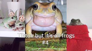 TikTok but it’s all frogs #4