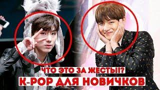 ЭТО ДОЛЖЕН ЗНАТЬ КАЖДЫЙ K-POP'ер!!! ЧТО ОЗНАЧАЮТ ЭТИ СЛОВА И ЖЕСТЫ??