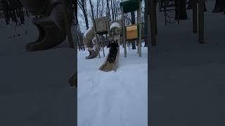 Mom goes down snowy slide. #snow #snowfall #blizzard #winterstorm