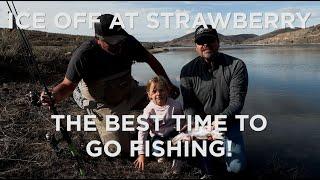 The Best Fishing of the Year? Ice Off at Strawberry Reservoir