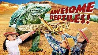 Awesome Reptiles!  All About Reptiles w/ The Wild Adventure Girls