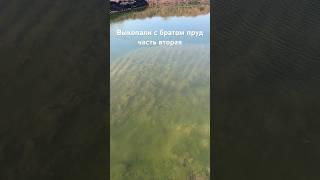 Выкопали пруд на своем участке часть вторая. Показываю откуда затекает и вытекает вода 