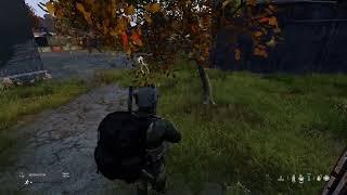 Dayz {New Horizon RP}