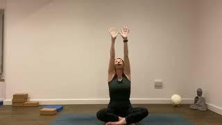 Beginner's yoga. Gentle seated twists, Warrior I transitioning to Warrior III, & Tree (Vrksasana).