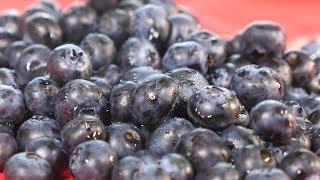 How Blueberries Improve Cancer Treatment by Helping to Kill Cancer Cells