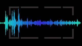 Motionbolt.com - Audio Wave