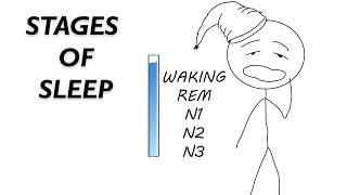 Sleep Stages EXPLAINED | REM (Dream Sleep), NREM (Deep Restful Sleep), and Wakefulness