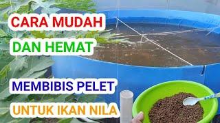 CARA MUDAH DAN HEMAT MEMBIBIS PELET UNTUK IKAN NILA DAN IKAN LAINNYA