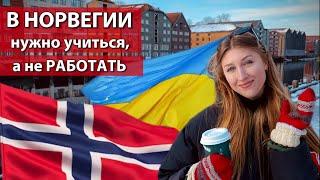 Бесплатное образование, студенческий кредит и Всё о поступлении в ВУЗ Норвегии для украинцев 2024