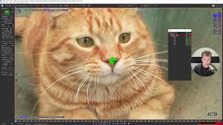 Track VFX Live - Cat head object solve