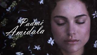 Padmé Amidala | With Thunderous Applause