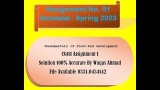 CS411 ASSIGNMENT 1 SOLUTION BY WAQAS 100% CORRECT 2023