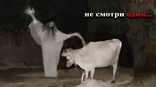 10 Самых Страшных Видео в Мире | Новая Подборка