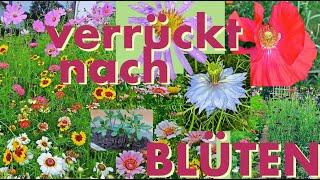 Verrückt nach Blüten - Wie schaffe ich Leben - bring mit Blumen Bienen viel Freude!