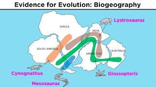 The Evolution of Populations: Natural Selection, Genetic Drift, and Gene Flow