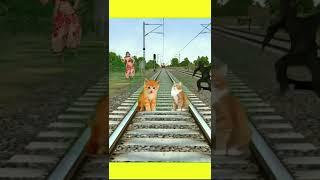 funny vfx magic video #shorts #cat