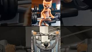 Cat Motivation  #motivation #catmotivation #workout #consistency