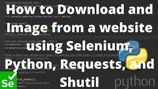 How to Download and Image from a website using Selenium, Python, Requests, and Shutil