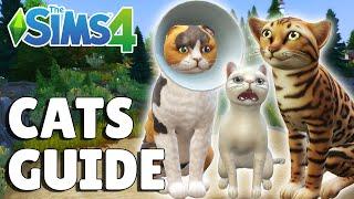 Everything You Need To Know About Cats In The Sims 4