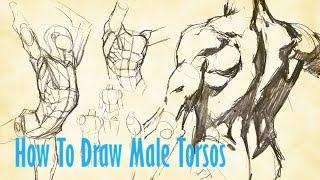 How To Draw Male Torsos