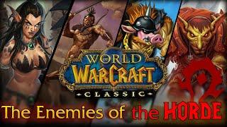 "Why Do I Want Them Dead?" Enemies of the Horde (Classic WoW Lore)