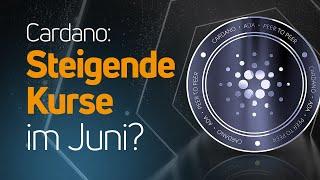 Cardano am Wendepunkt?